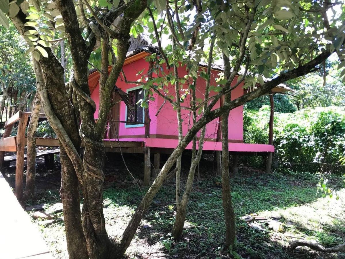 Gibbon Lodge Senmonorom Exterior foto